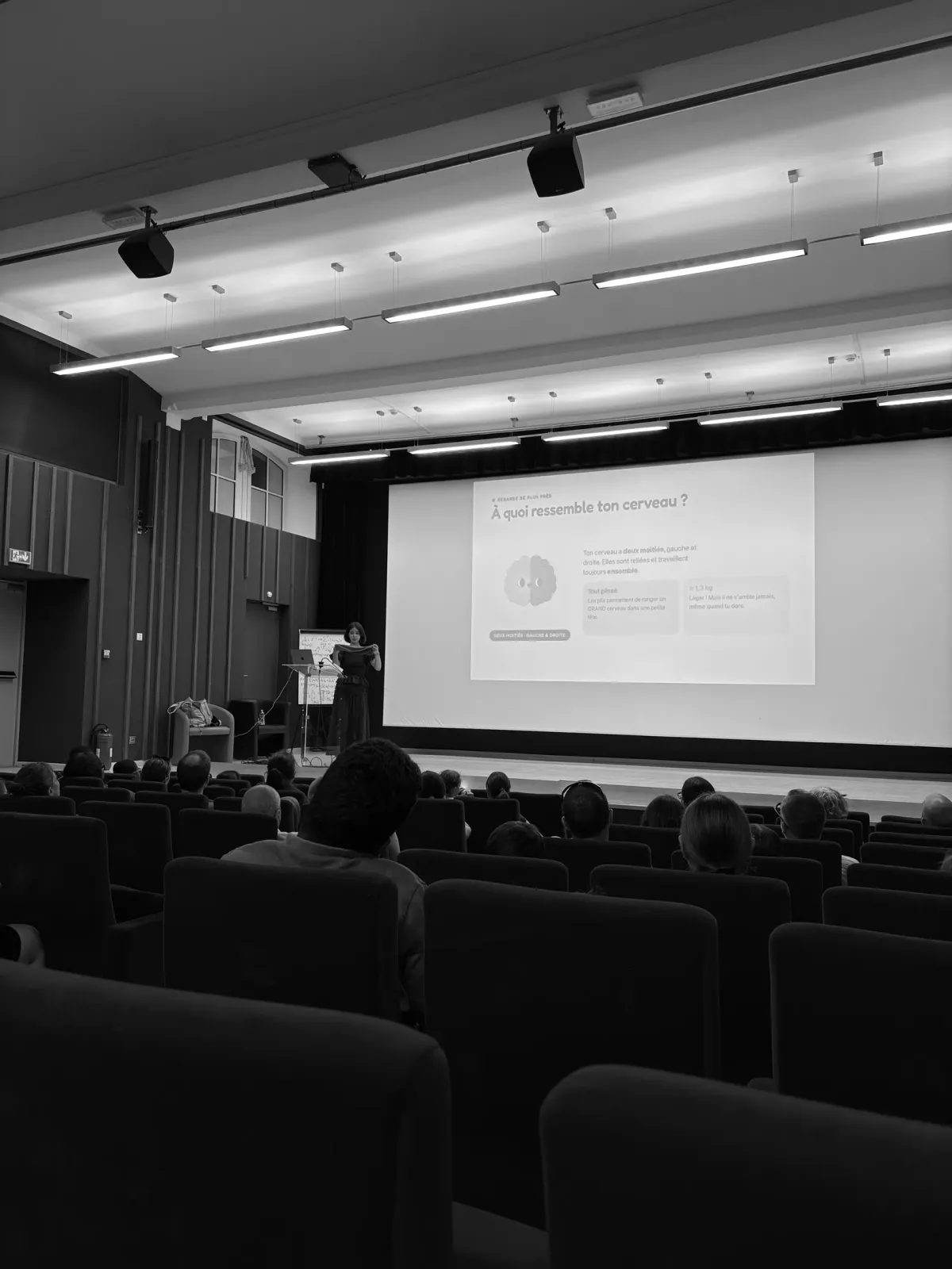 Explaining the brain to a young audience