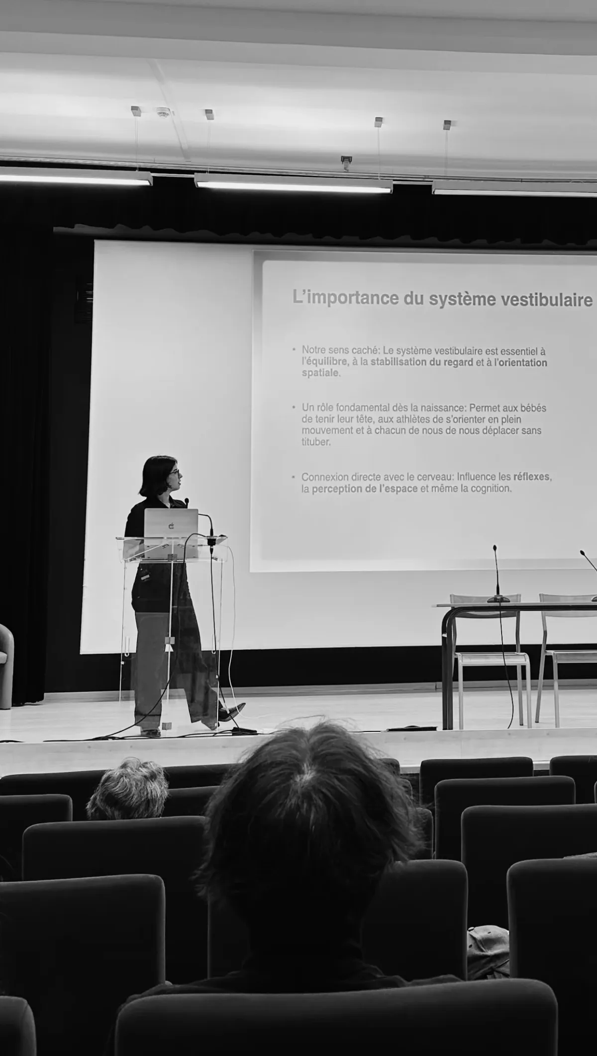 Presenting on the vestibular system